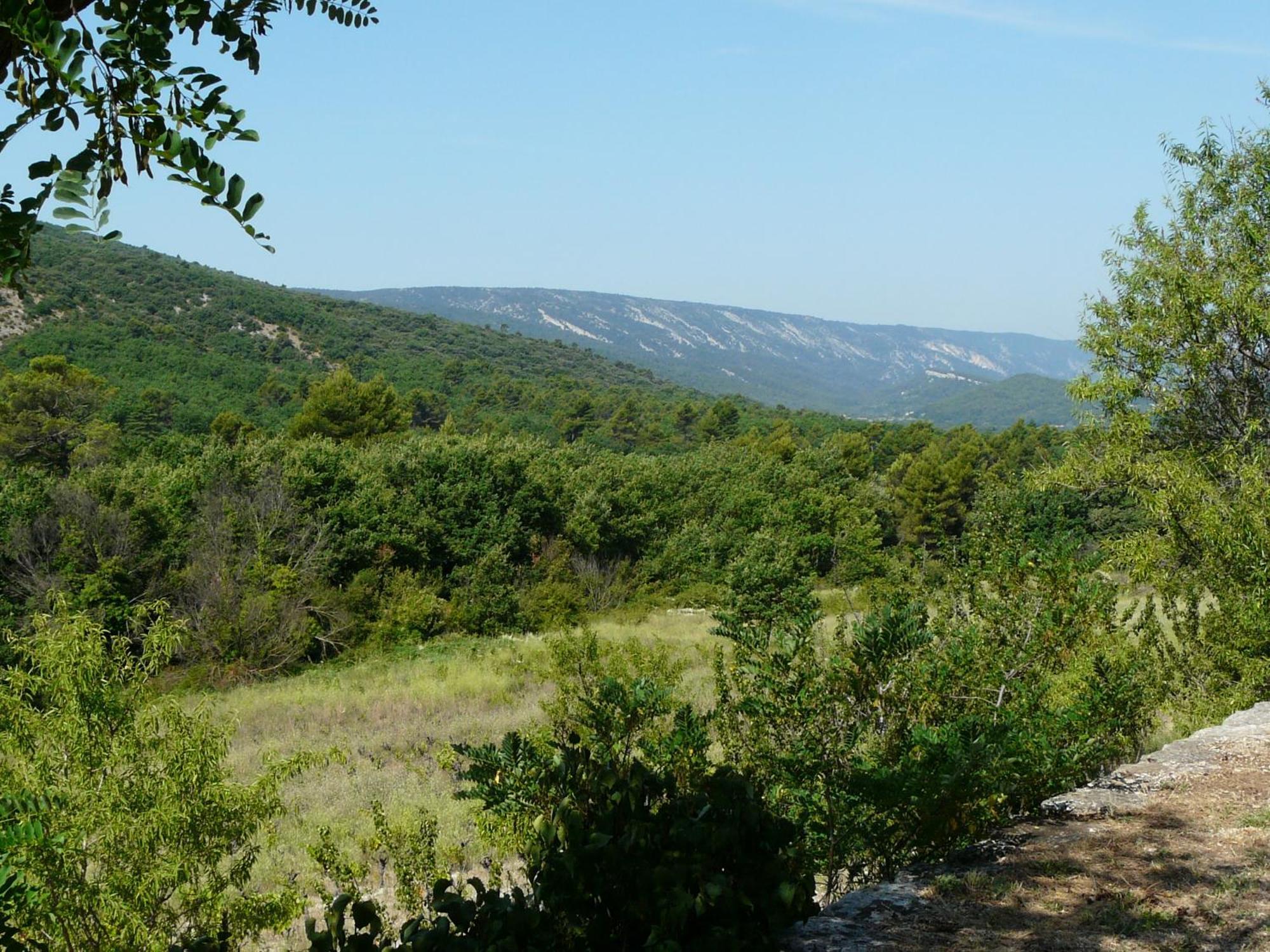 Villa 19Th Century Provencal Mas With Pool In Provence In The Luberon, Sleeps 6 Lacoste  Exterior foto