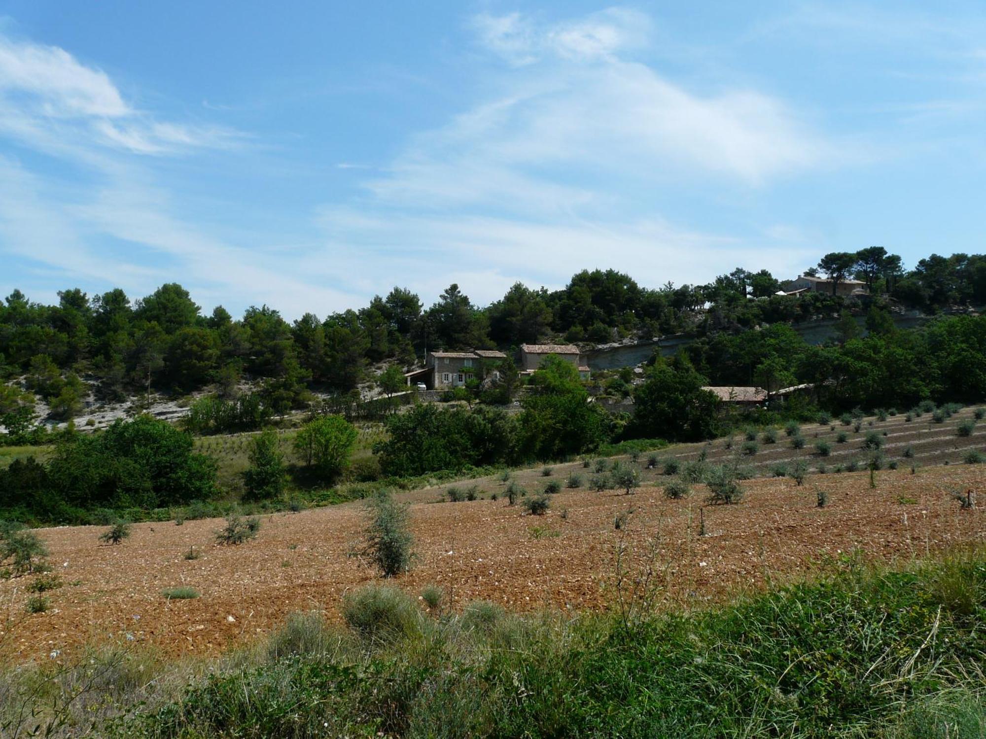Villa 19Th Century Provencal Mas With Pool In Provence In The Luberon, Sleeps 6 Lacoste  Exterior foto
