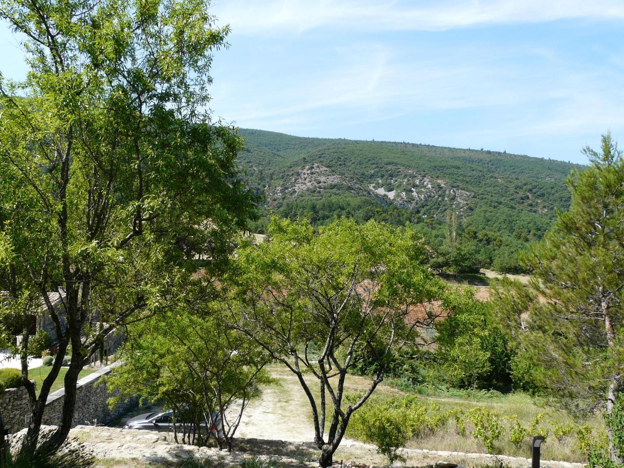 Villa 19Th Century Provencal Mas With Pool In Provence In The Luberon, Sleeps 6 Lacoste  Exterior foto